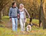 Couple with beagle in woods