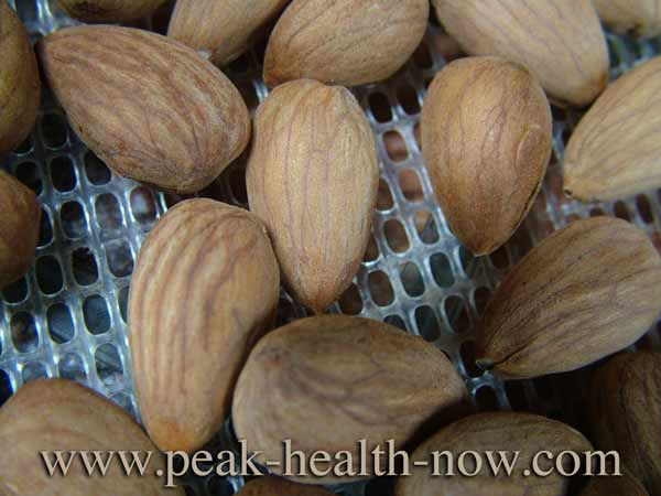 Salycilates side effects: Almonds are VERY high in this, plus oxalates and other toxins - NOT as healthy as advertised!