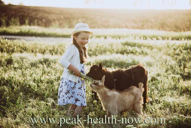 Acquired immunity - children benefit by being around animals