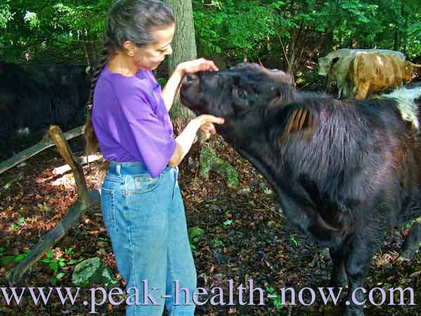 Being around farm animals fosters acquired immunity!