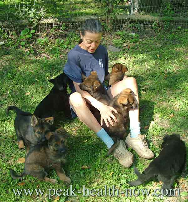 Strengthen your immune system; enjoy more time with your pets!