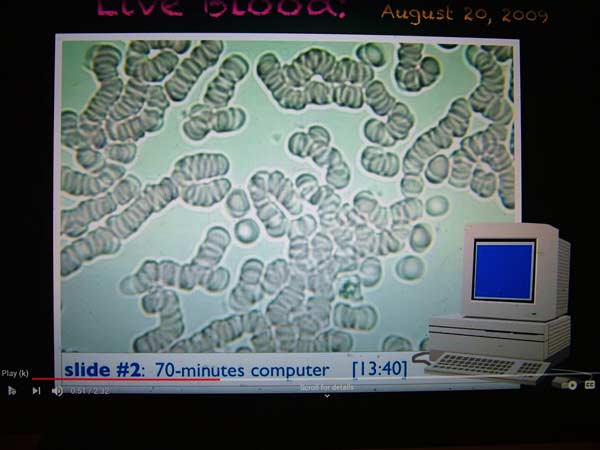 Red blood cells sticking together after 70 min on computer