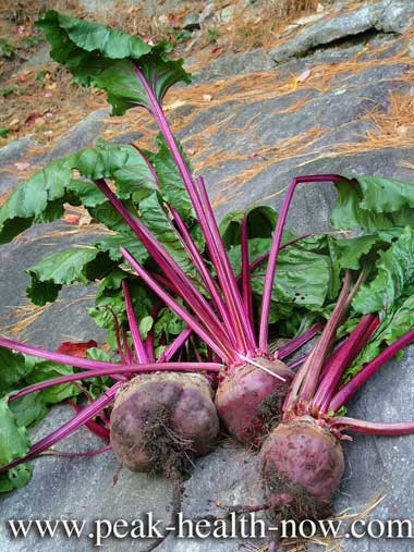 Oxalate toxicity personal experience - yes, I ate these beets!