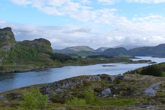 Raw nature made fish oil from Norway