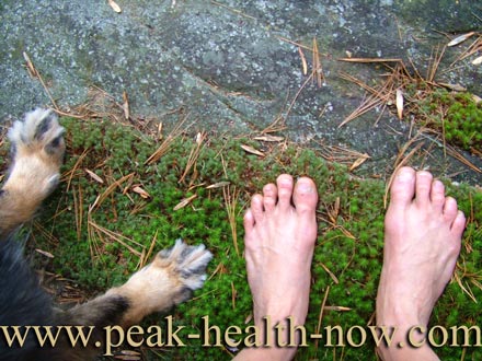 Barefooting tips - lovely way to spend time with your dog!
